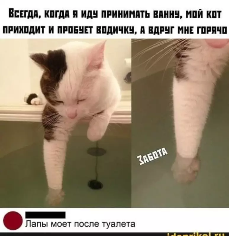 Посмеялся сам - поделись с другом!!!