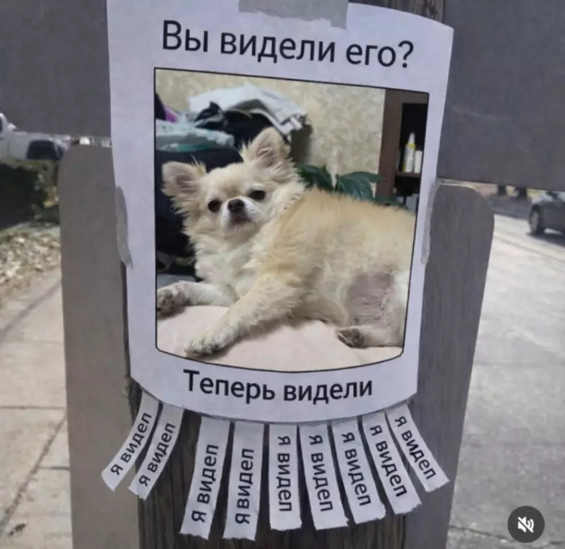 Посмеялся сам - поделись с другом!!!