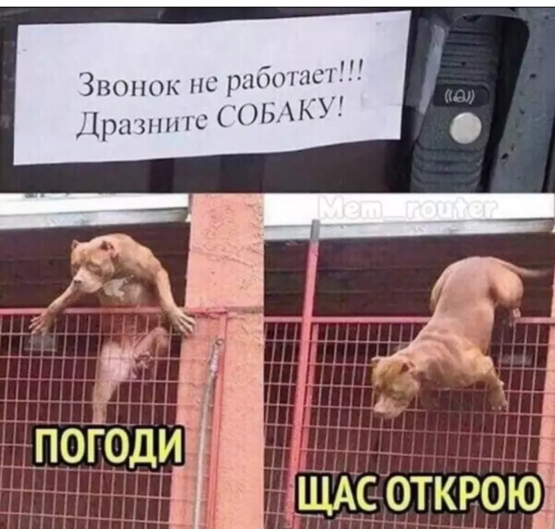 Посмеялся сам - поделись с другом!!!