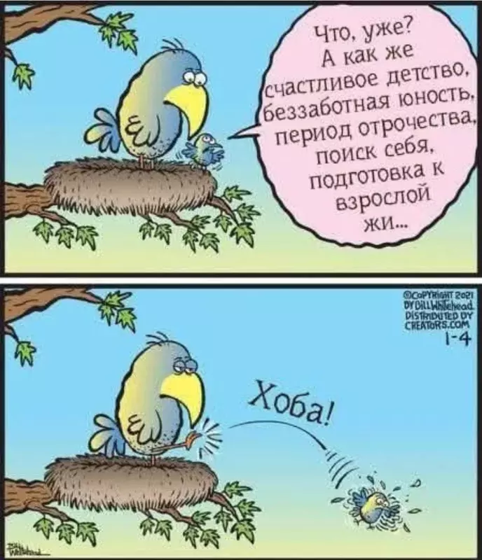 Посмеялся сам - поделись с другом!!!