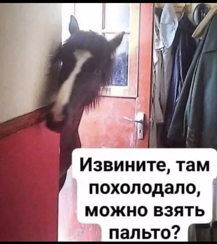 Посмеялся сам - поделись с другом!!!