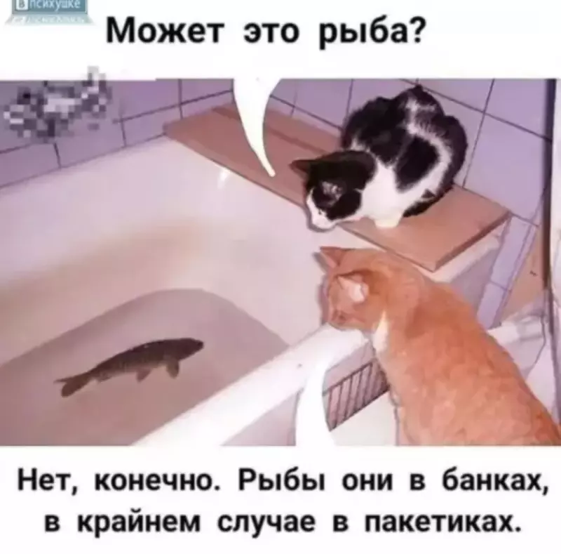 Посмеялся сам - поделись с другом!!!