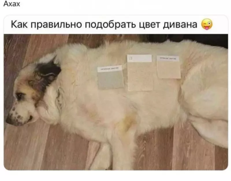 Посмеялся сам - поделись с другом!!!