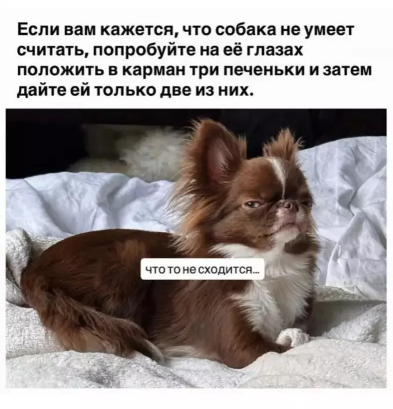 Посмеялся сам - поделись с другом!!!