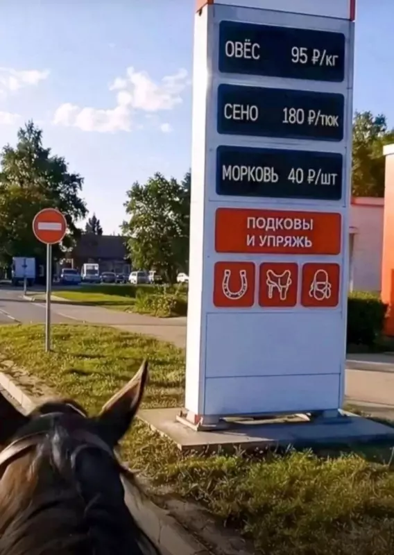 Посмеялся сам - поделись с другом!!!