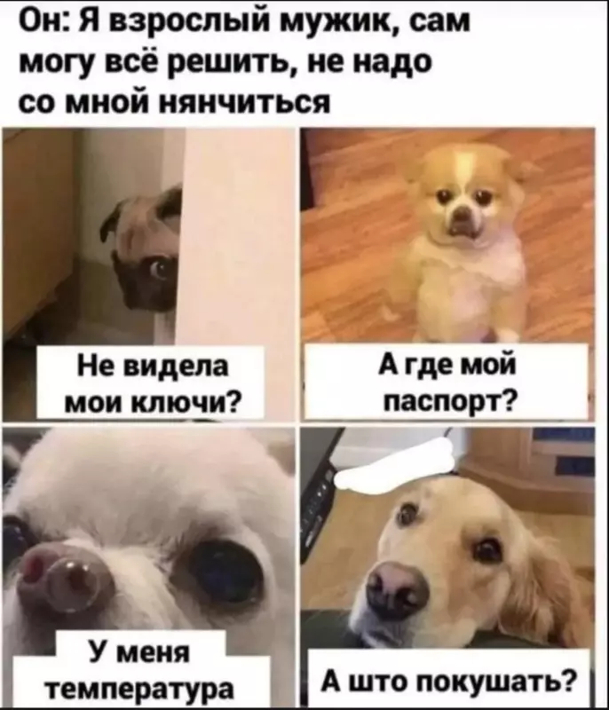 Посмеялся сам - поделись с другом!!!