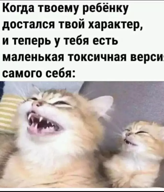 Посмеялся сам - поделись с другом!!!