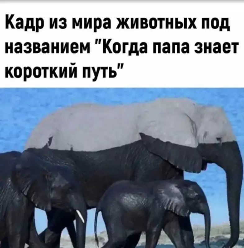 Посмеялся сам - поделись с другом!!!