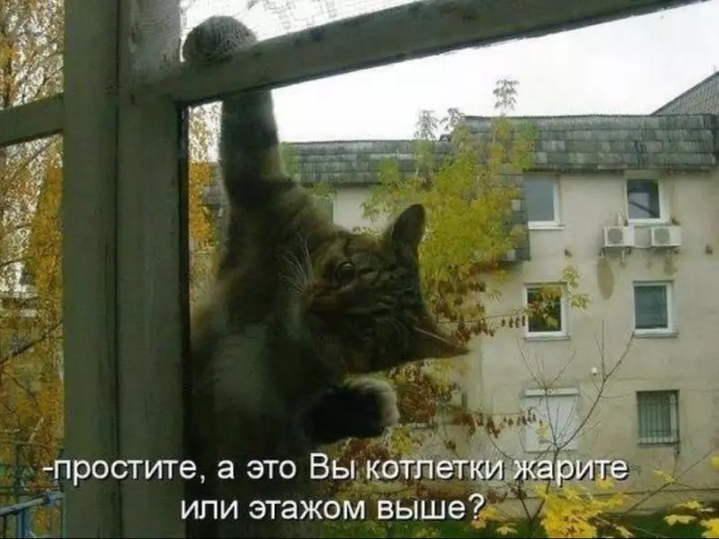 Посмеялся сам - поделись с другом!!!