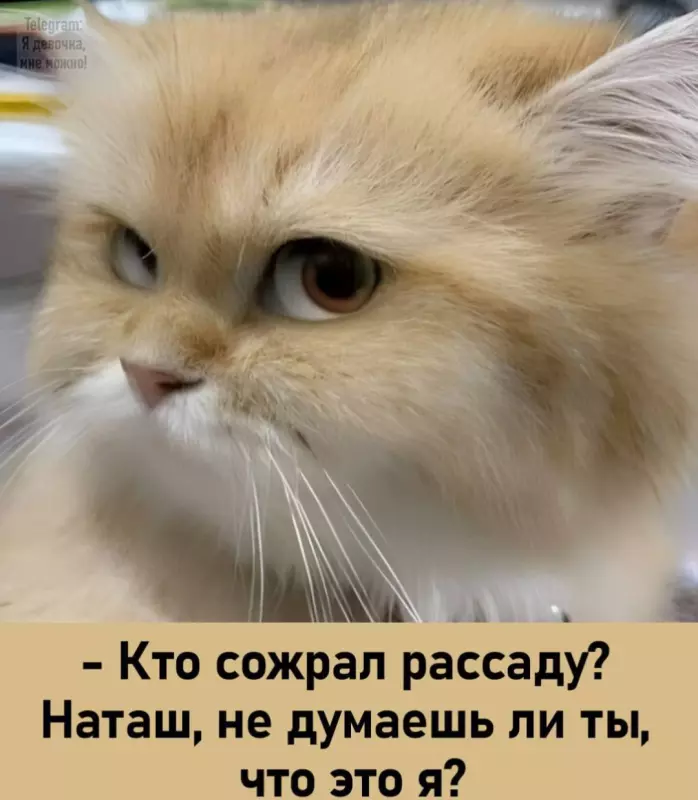 Посмеялся сам - поделись с другом!!!