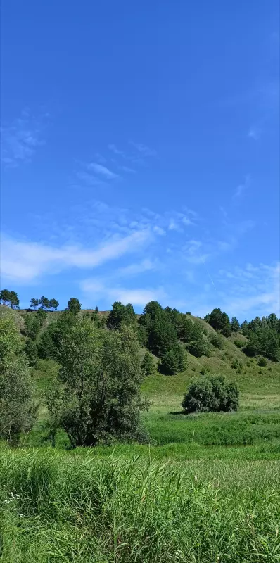 Такое разное небо