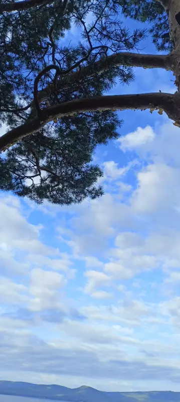 Такое разное небо