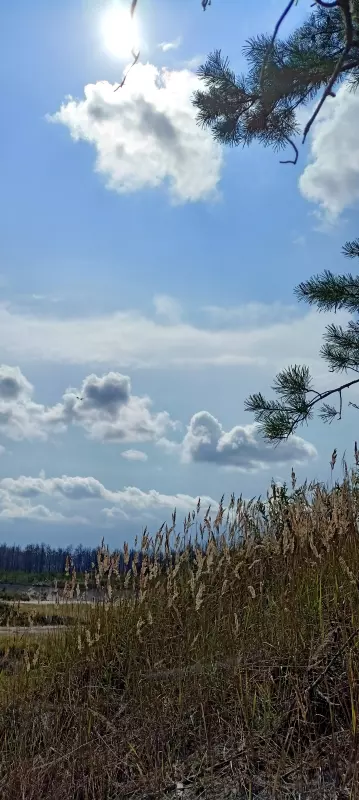 Такое разное небо