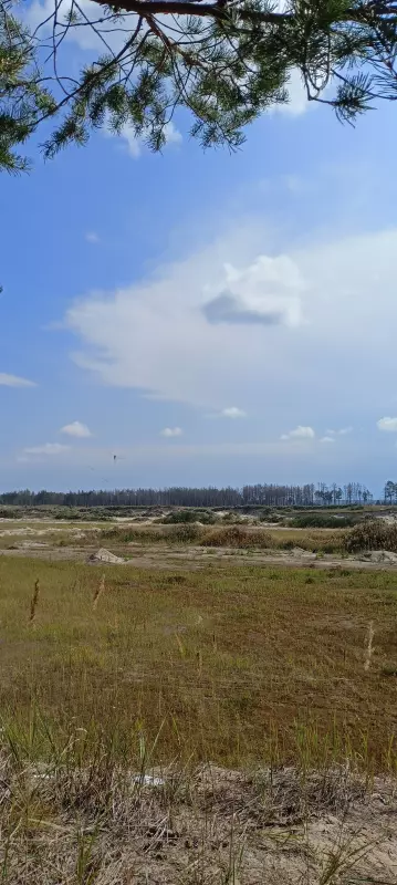 Такое разное небо