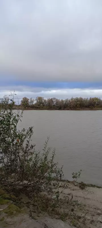 Такое разное небо