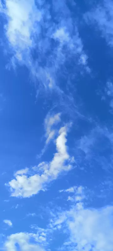 Такое разное небо