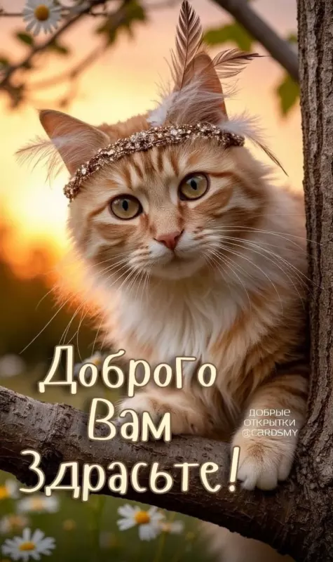 Tapтaлeтки & Ко