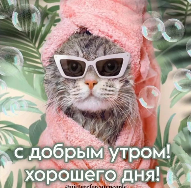 Tapтaлeтки & Ко