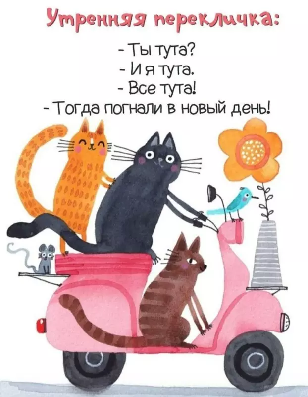 Tapтaлeтки & Ко