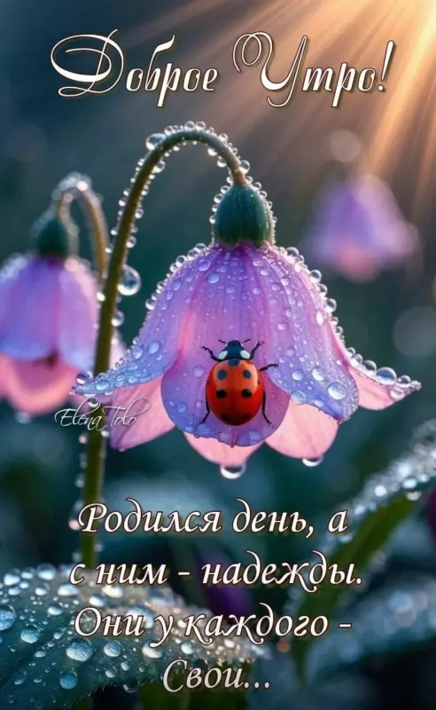 Tapтaлeтки & Ко