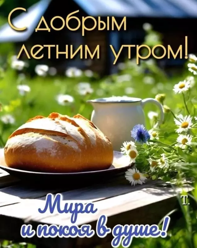 Tapтaлeтки & Ко