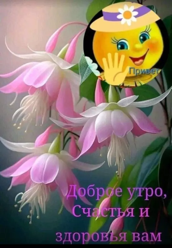 Tapтaлeтки & Ко