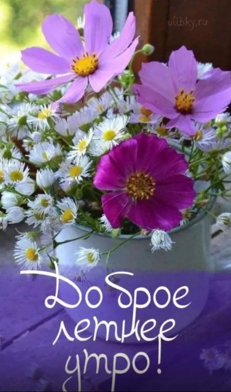 Tapтaлeтки & Ко