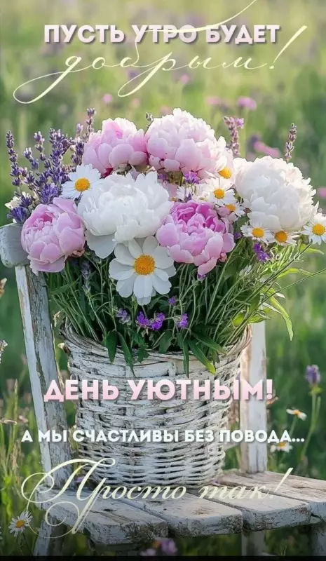 Tapтaлeтки & Ко