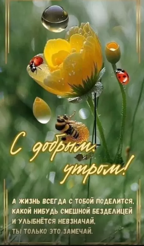 Tapтaлeтки & Ко