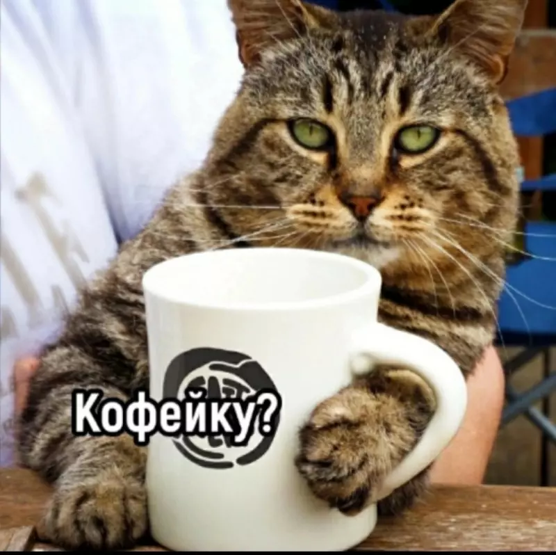 Tapтaлeтки & Ко