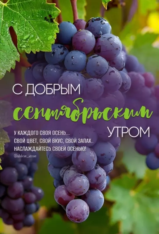 Tapтaлeтки & Ко