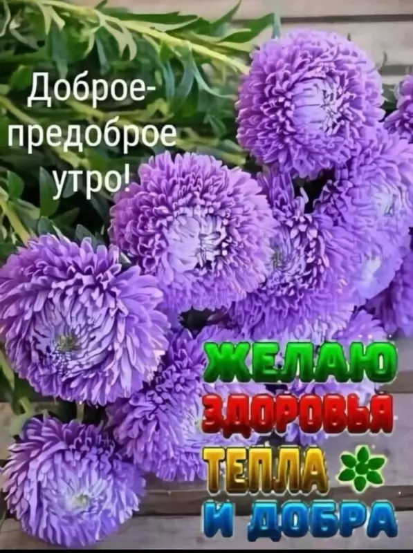 Tapтaлeтки & Ко