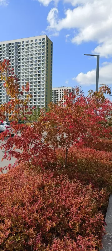 Tapтaлeтки & Ко