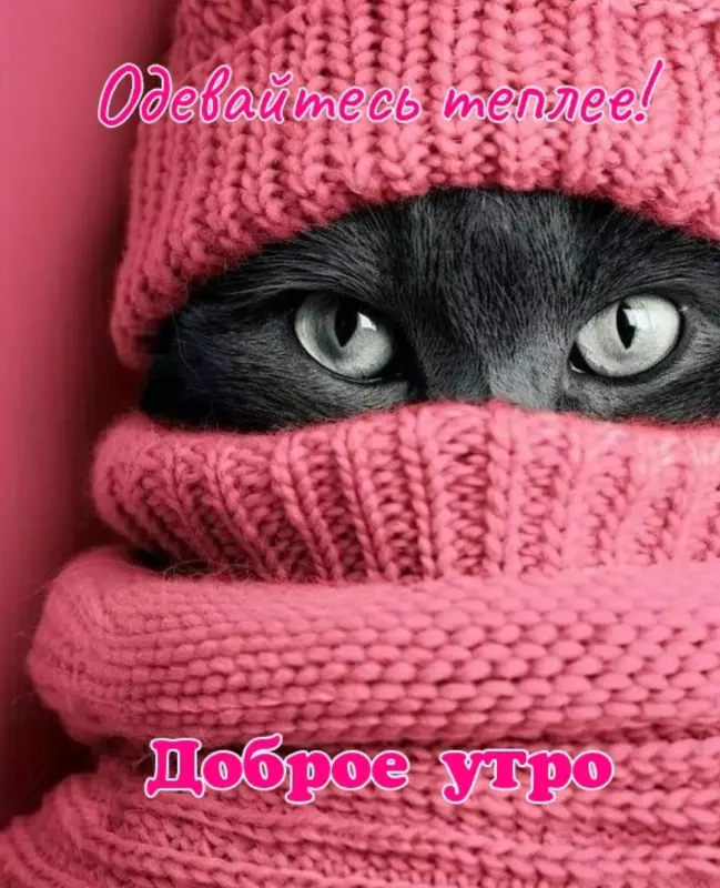 Tapтaлeтки & Ко
