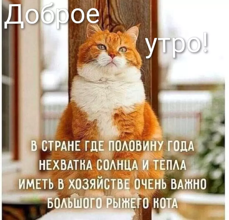 Tapтaлeтки & Ко