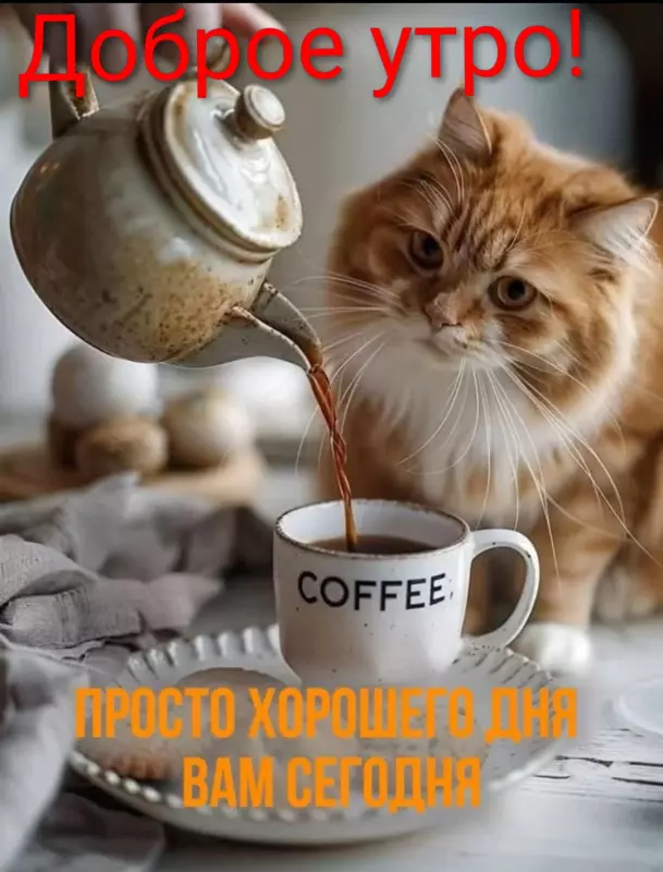 Tapтaлeтки & Ко