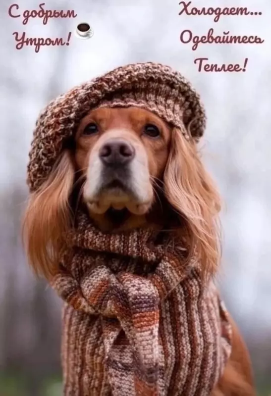 Tapтaлeтки & Ко