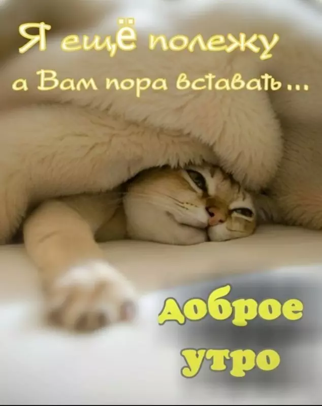 Tapтaлeтки & Ко