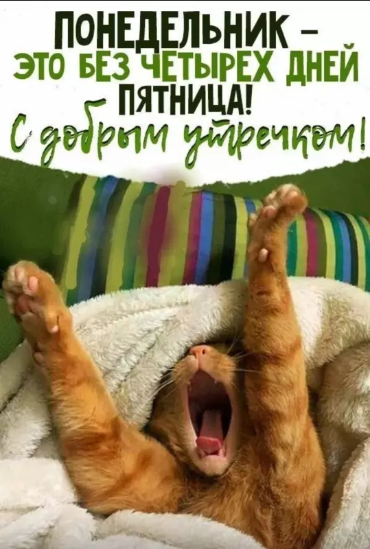 Tapтaлeтки & Ко