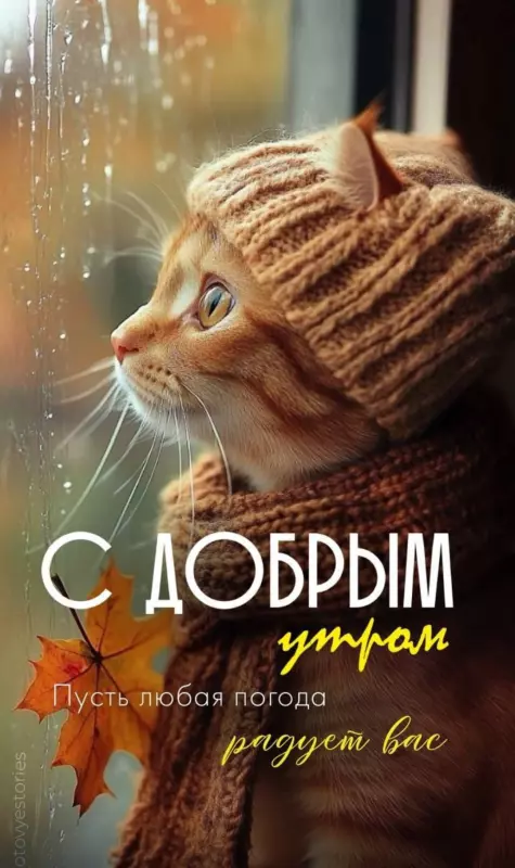 Tapтaлeтки & Ко