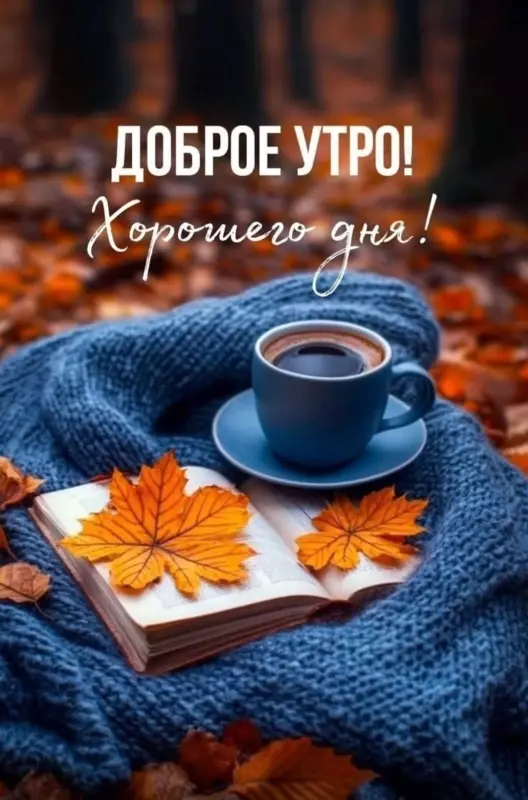 Tapтaлeтки & Ко
