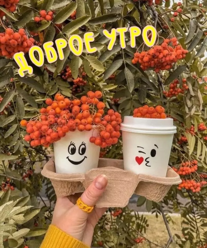 Tapтaлeтки & Ко