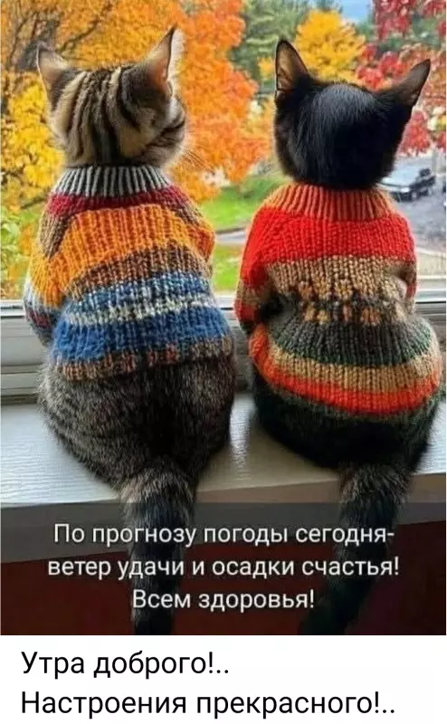 Tapтaлeтки & Ко