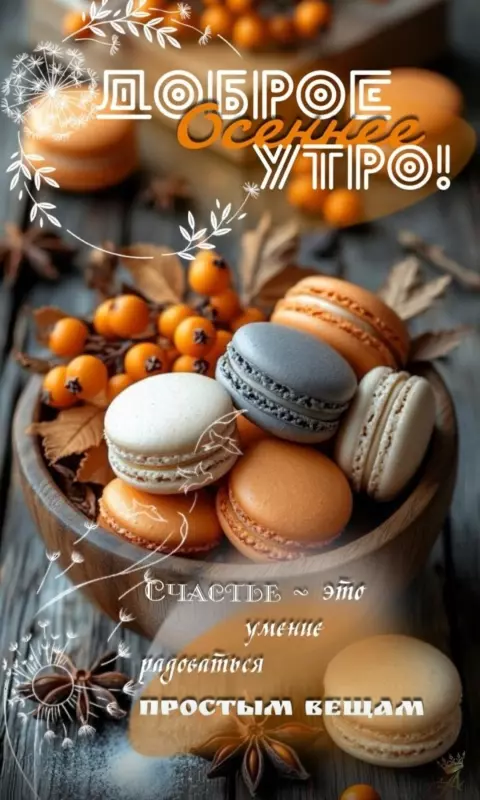 Tapтaлeтки & Ко