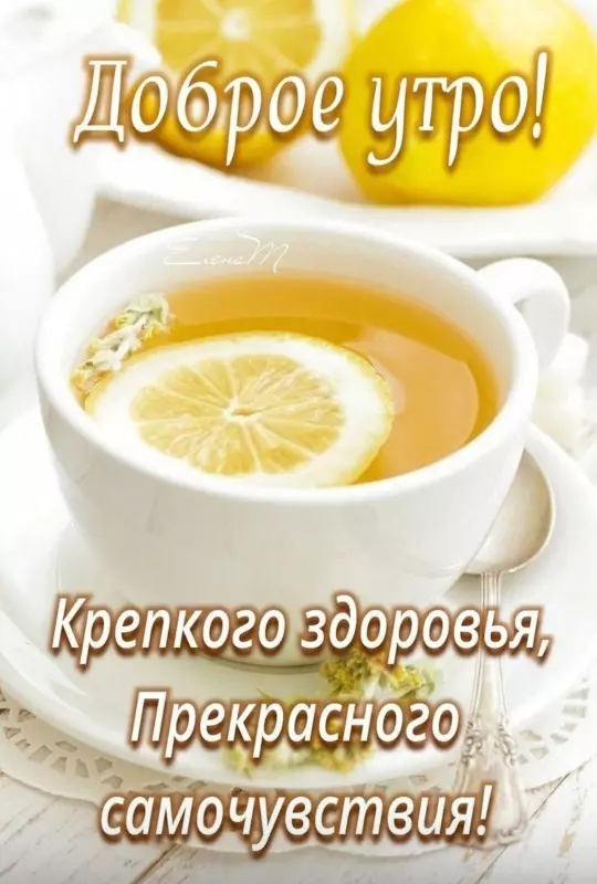 Tapтaлeтки & Ко