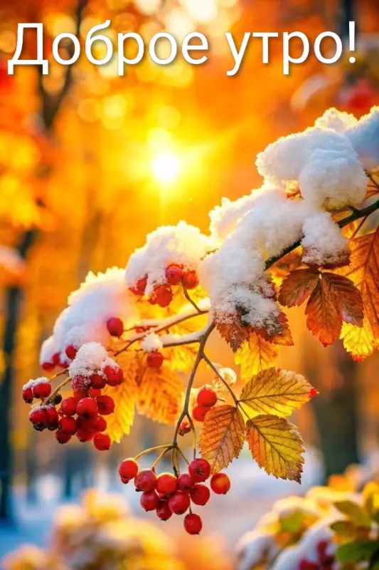 Tapтaлeтки & Ко