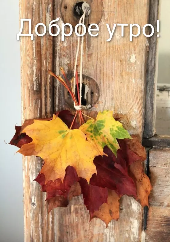 Tapтaлeтки & Ко