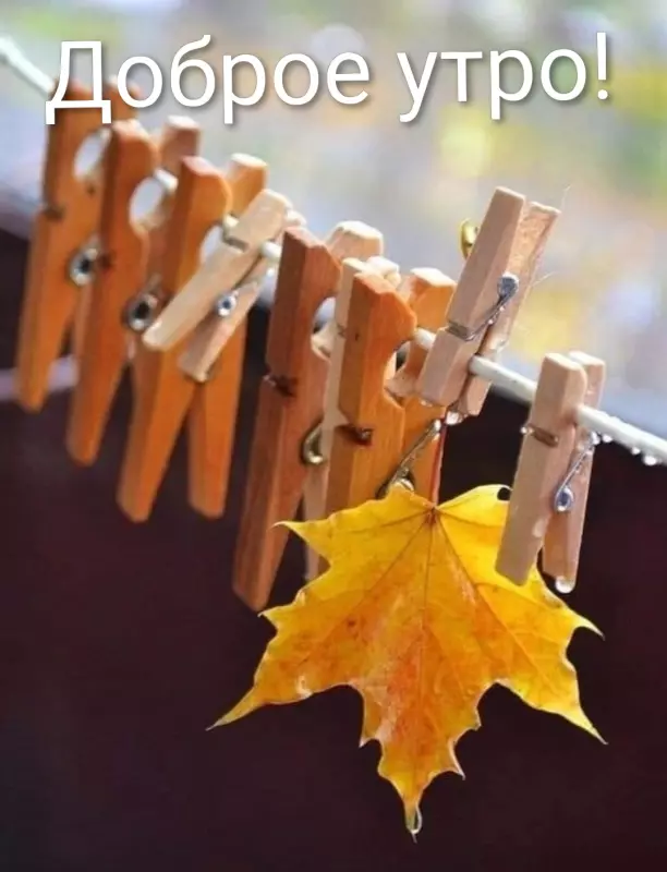 Tapтaлeтки & Ко