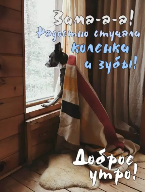 Tapтaлeтки & Ко