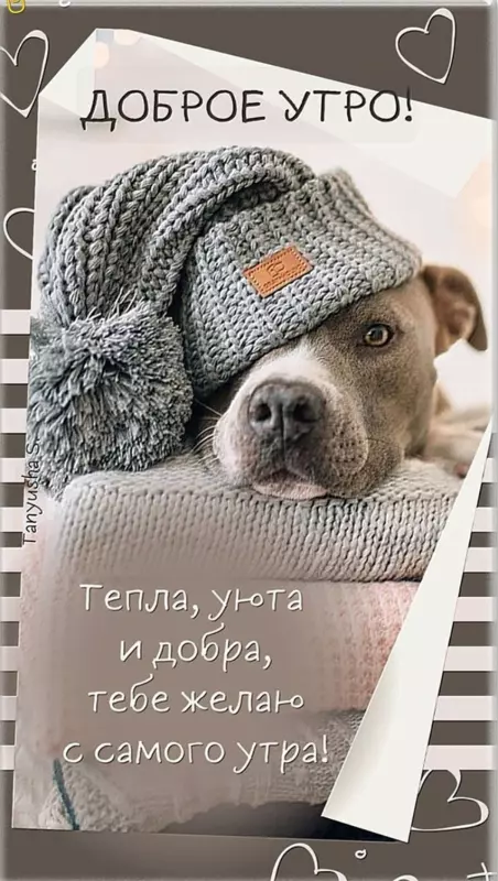 Tapтaлeтки & Ко